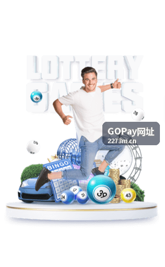 GOPay网址支付数据分析与安全监控示意